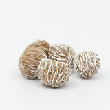 Desert Rose Selenite