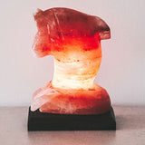 Dolphin Lamp