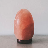 Egg Shaped lamp