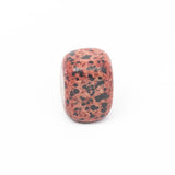 Red Dalmatian Jasper