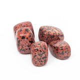Red Dalmatian Jasper