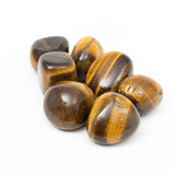 Tiger Eye Tumbles